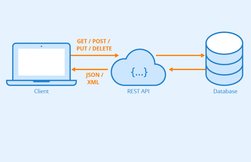 What is an Application Programming Interface (API)? Be a Better Dev